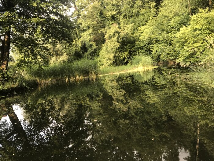 Neue Wasserkraft